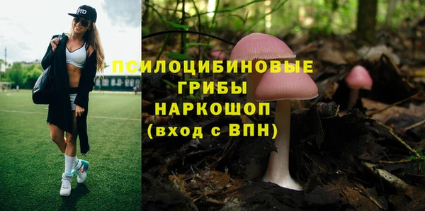 мдма Корсаков